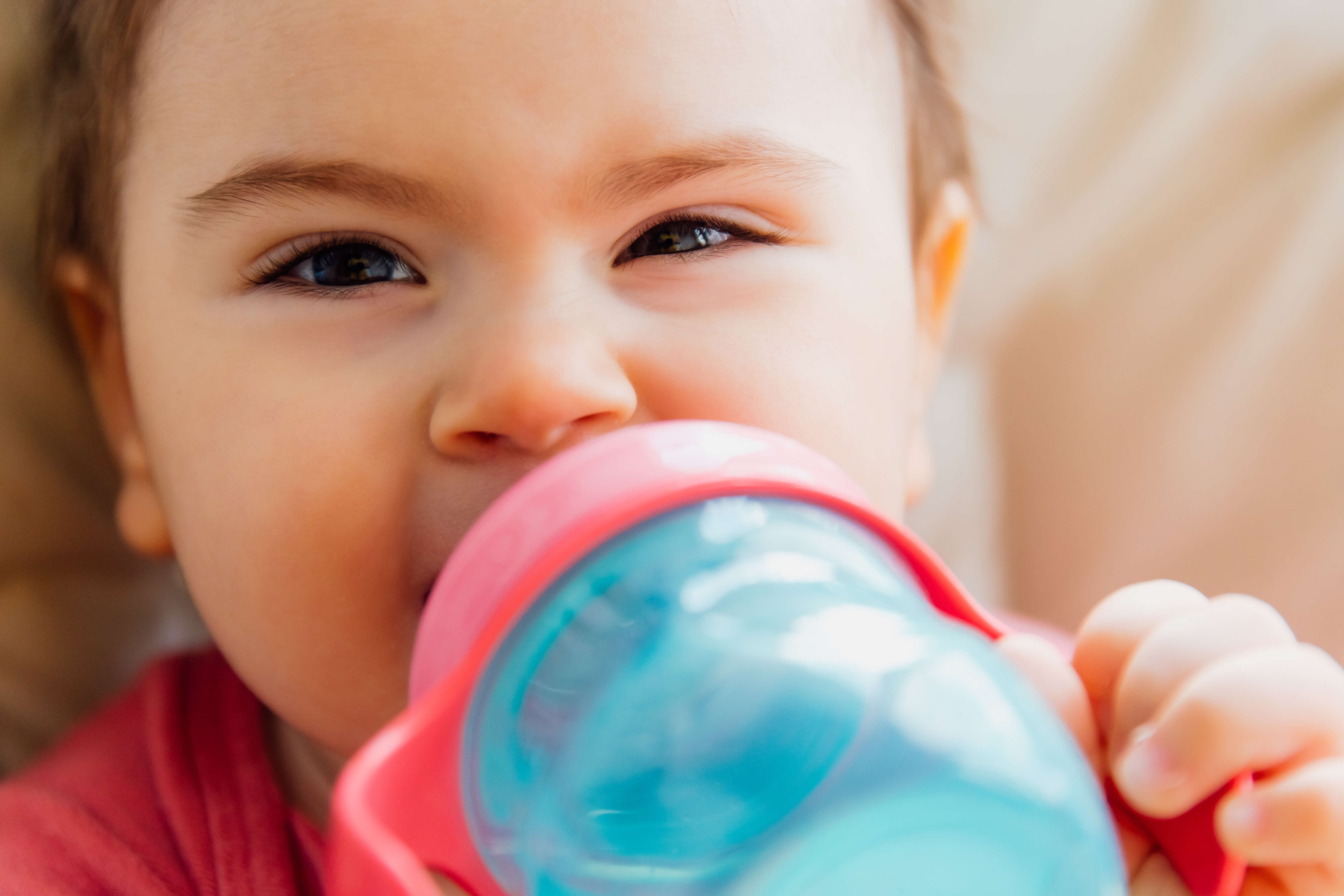 Kefir Nedir?